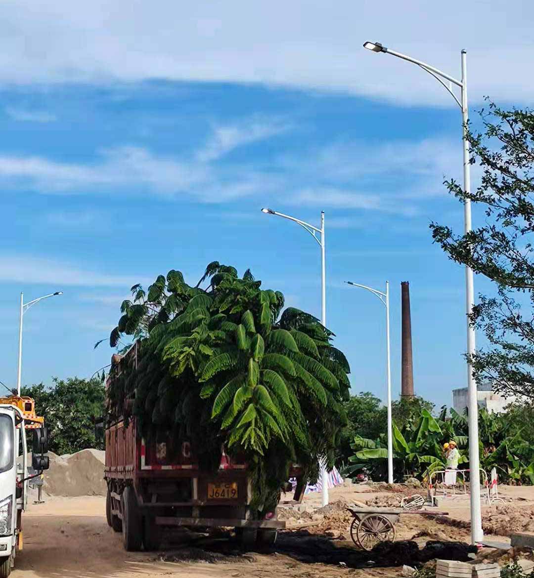 宝威在线开户,宝威（中国）助力东莞洪梅万科星城道路亮化工程